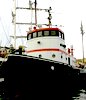 Kustzee sleepboot / te koop