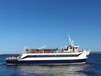 250 DAY PAX FERRY TOUR BOAT FOR SALE