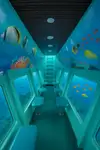 NEW BUILD - 12m Glass Bottom Semi-Submersible Tourist Vessel