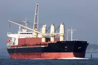 CM0893 HANDYSIZE BULK CARRIER 32300 DWT/2007 JAPAN BLT FOR SALE