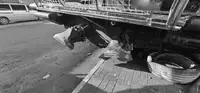13m Pilot / Crew / Agency Boat