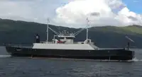 Ro Ro car pax ferry with prompt delivery july 2024