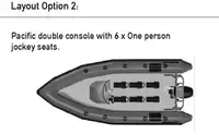 NEW BUILD - Ribcraft 6.8 Pro