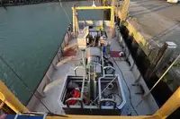 Shrimp cutter with license