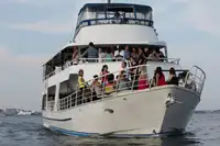 1996   72' x 18'6"  Aluminum 100 Passenger Vessel and Successful Tu